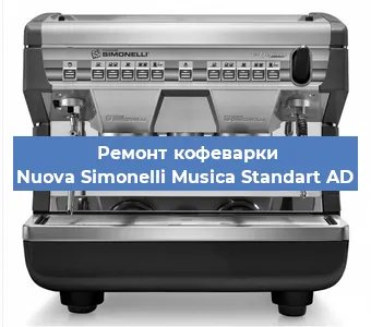 Чистка кофемашины Nuova Simonelli Musica Standart AD от накипи в Челябинске